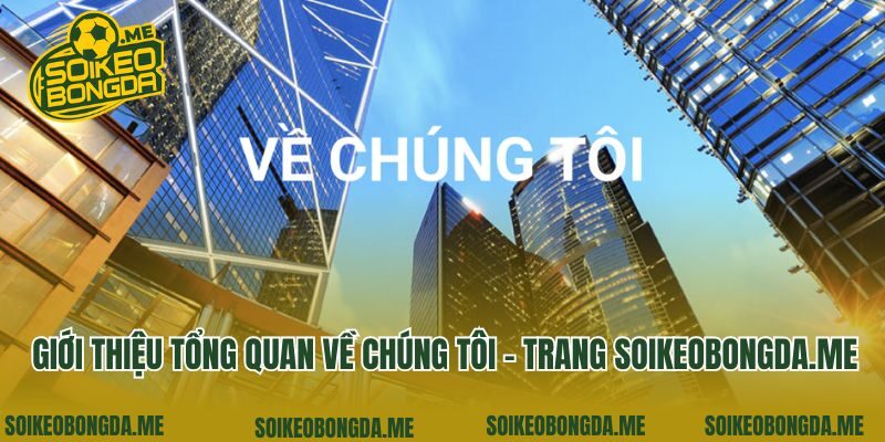 Giới thiệu tổng quan về chúng tôi - trang 6565.com.tw