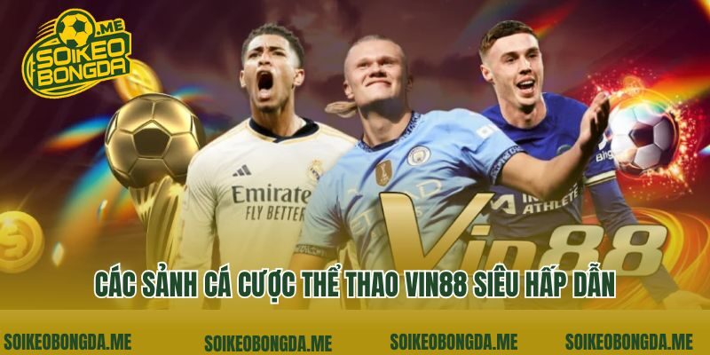 Các sảnh cá cược thể thao Vin88 siêu hấp dẫn