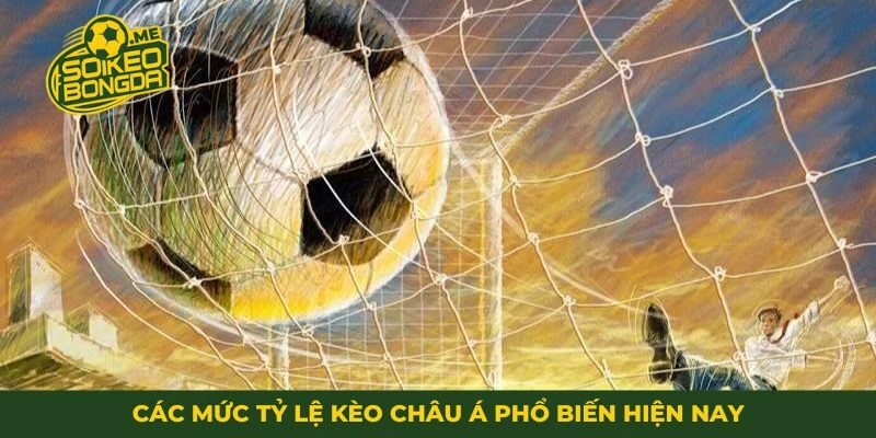 Các mức tỷ lệ kèo Châu Á phổ biến hiện nay