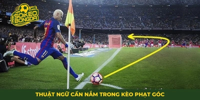 Thuật ngữ cần nắm trong kèo phạt góc
