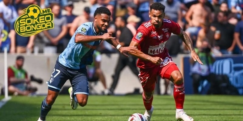 Phân tích, soi kèo Brest vs Le Havre trong giải Ligue 1 2026