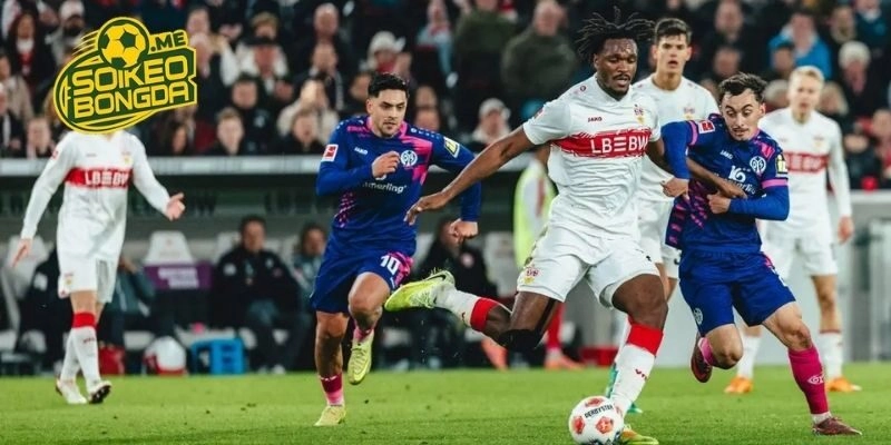 Lịch sử đụng độ của Mainz 05 vs Stuttgart